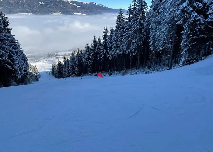 Schlager Maria 公寓 Pirkach