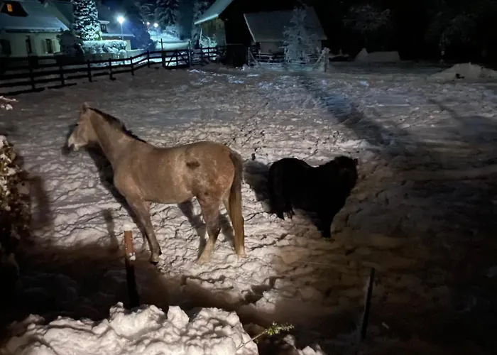 Schlager Maria 公寓 *